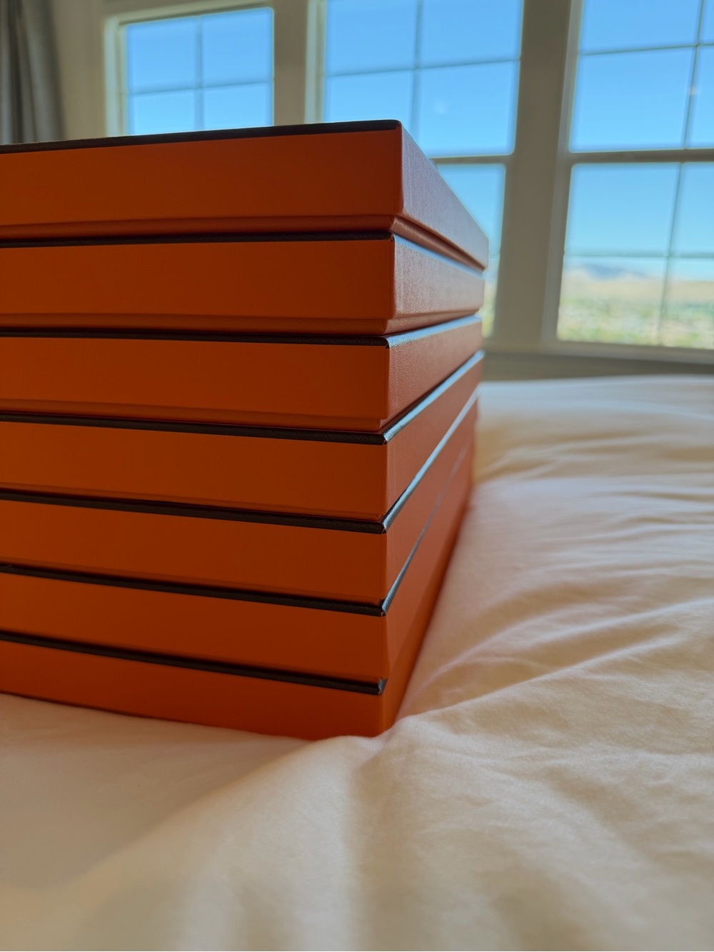 Set of 7 Authentic Hermès Rectangular Scarf Gift Boxes w/ Ribbon & Tissue
